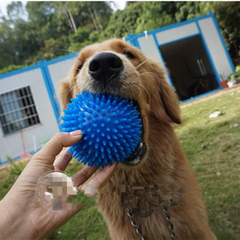 Pet Dog Toy Ball Squeaky Sound Ball Teeth Cleaning Toys Three Models For Small, Medium And Large Dogs Six Pack Dog Accessories