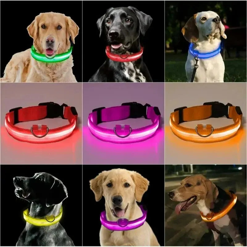 1pc Adjustable Dog Collar LED Glowing Luminous Collar Dog Night Light Pet Safety Collar For Small Dogs Accessories